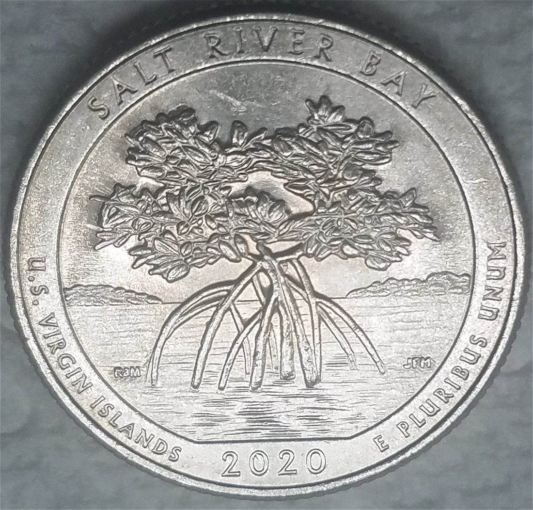 2020-P-Salt-River-Bay-Quarter-Extra-Partial-Branch-On-Reverse?